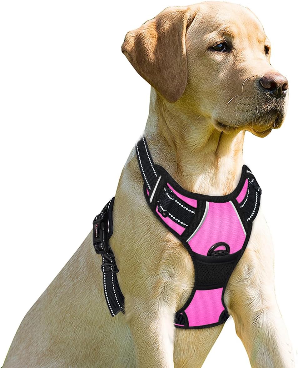 Petllo GripX 2.0