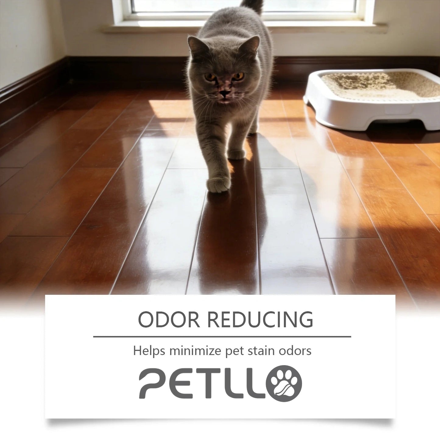 Petllo™ Pet Cleaning Spray