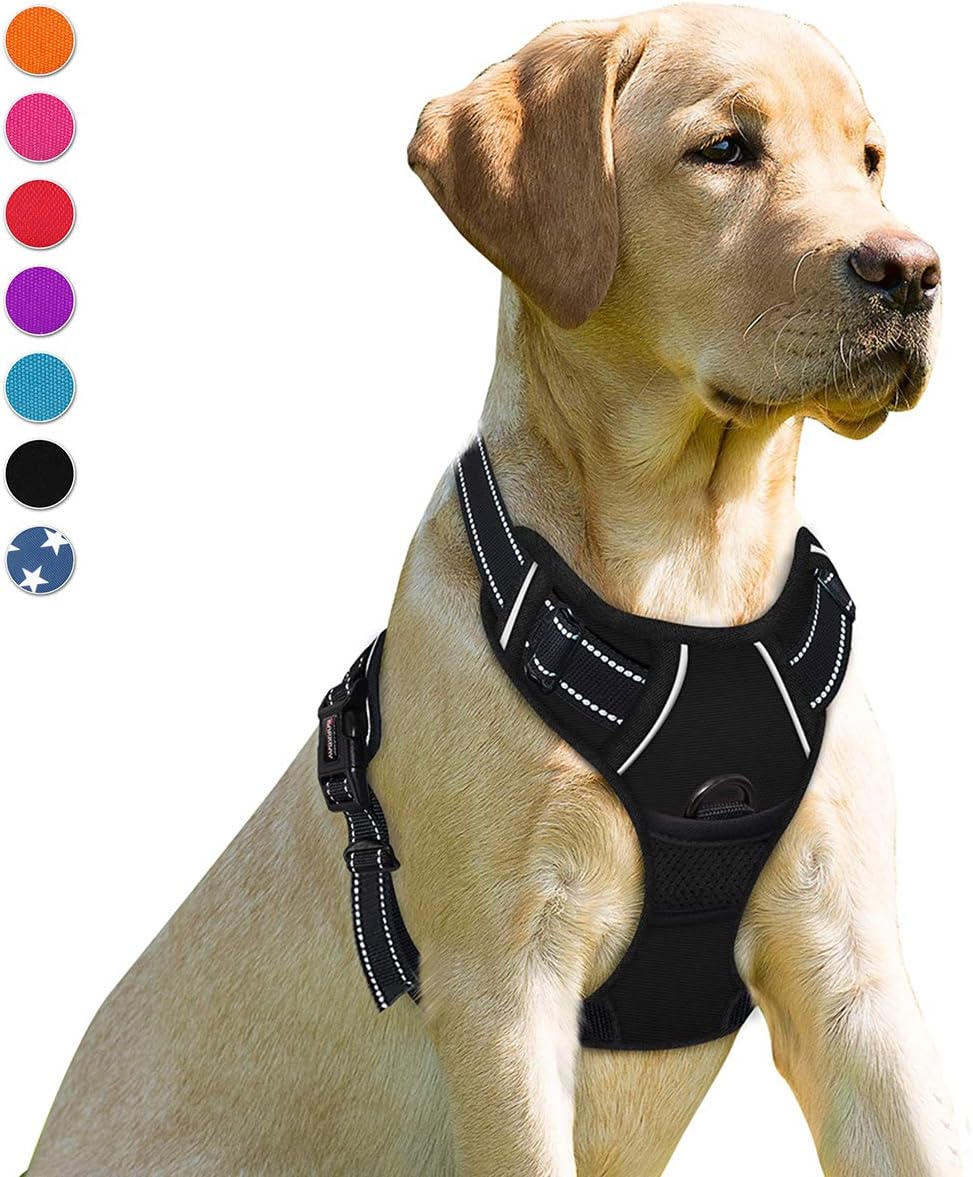 Petllo GripX 2.0