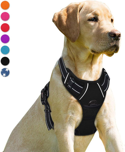 Petllo GripX 2.0