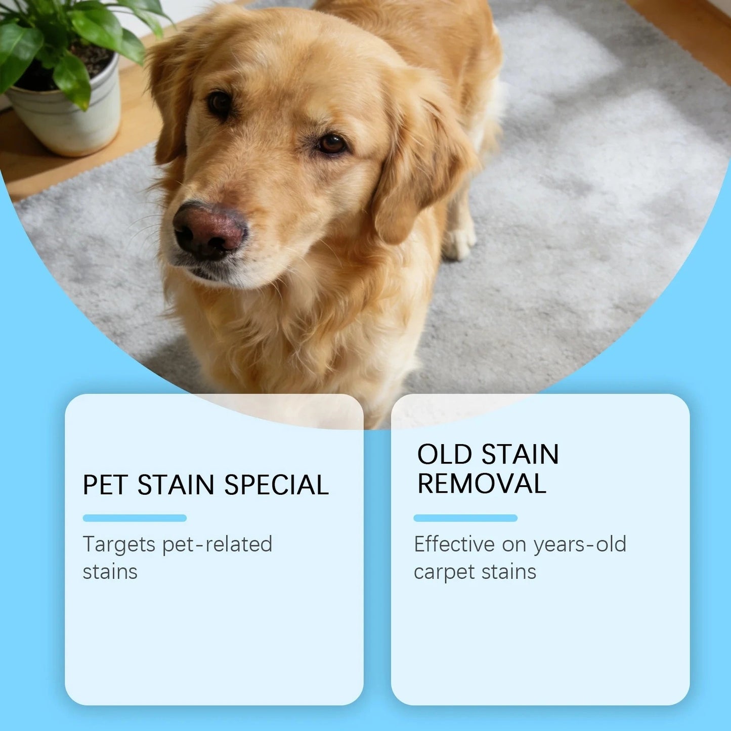Petllo™ Pet Cleaning Spray